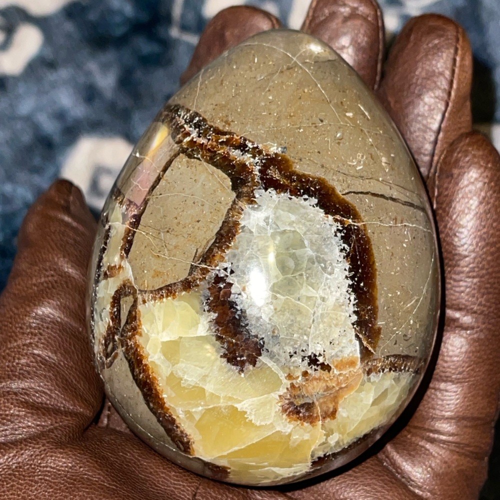 Hand Polished Septarian in Egg form